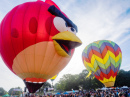 Sonoma County Hot Air Balloon Classic