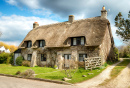 Corfe Castle Village in Dorset