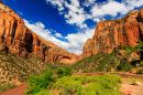 Natural Rock Arch in Zion National Park