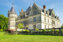 Château de la Bourdaisière, France