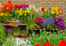 Flowers on Display