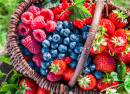 Fresh Berries in the Garden