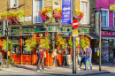 Typical English Pub in London