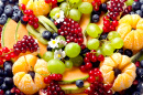 Fruits and Berries