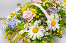 Spring Daisies Bouquet