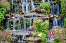 Waterfall in the Garden