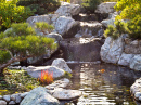 Japanese Garden Waterfall