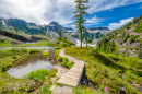 Bagley Lake Trail Park, Washington