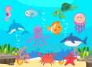 Marine Animals