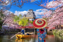 Himeji Castle, Japan