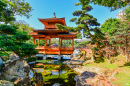 Nan Lian Garden, Hong Kong