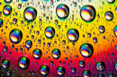 Water Drops