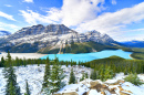 Peyto Lake, Banff NP, Canada