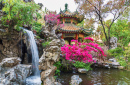 Waterfall in the Garden in Hong Kong