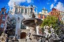 Neptune Fountain, Gdańsk, Poland