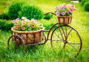 Flower Bicycle