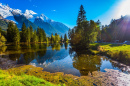 Chamonix City Park, French Alps