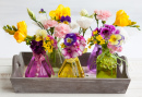 Fresh Flowers in Glass Bottles