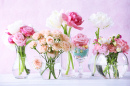 Spring Flowers in Glass Vases