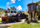 Roaring Camp, California