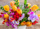 Freesias and Tulips