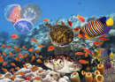 Coral Reef Collage