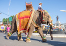 Surin Elephant Round-Up Festival, Thailand