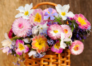 Bouquet of Spring Flowers