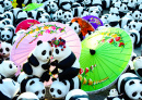 Pandas World Tour, Chiangmai, Thailand