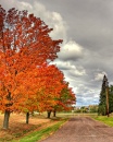 Autumn Scene