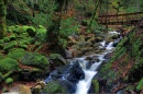 Swanson Creek, Uvas Canyon County Park