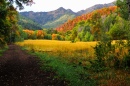 Provo Canyon, Utah