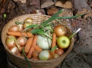 Veggie Basket