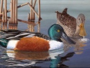 Duck Stamp Art Contest