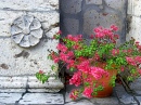 Stone Flowers