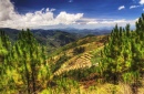 Mt. Pulag, Philippines