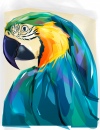 Macaw