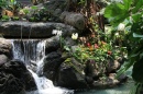 Polynesian Resort Waterfall