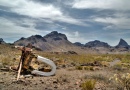 Route 66 Landscape