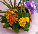 Flower Basket