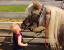 The Pony Whisperer