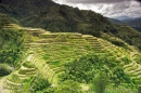 Banaue Rice Terraces