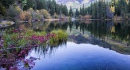 Lizard Lake, Colorado