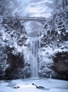 Multnomah Falls is Nearly Frozen