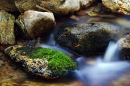 Cooper Canyon Stream