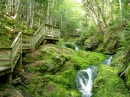 Dickson Falls Hiking Trail, Fundy NP, Canada