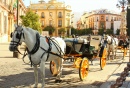 Plaza Virgen de los Reyes, Seville, Spain