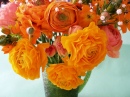 Ranunculus Arrangement