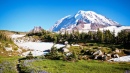 Washington Mountain Landscape