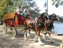 Budweiser Carriage